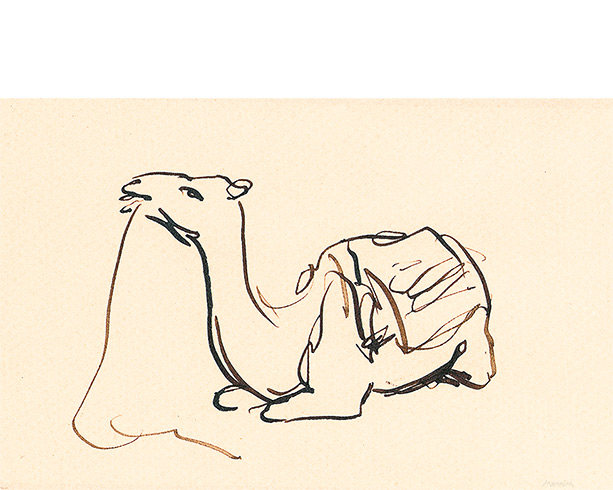 Camel. (A5) - Peter Mennim