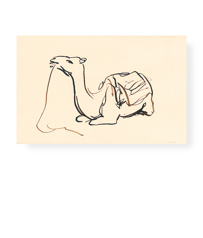 Camel. Ink drawing by Mennim