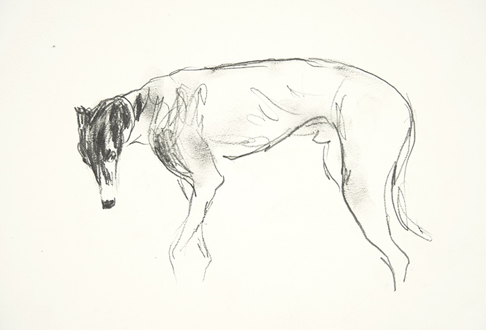 Dog called Pilot. Pencil by mennim