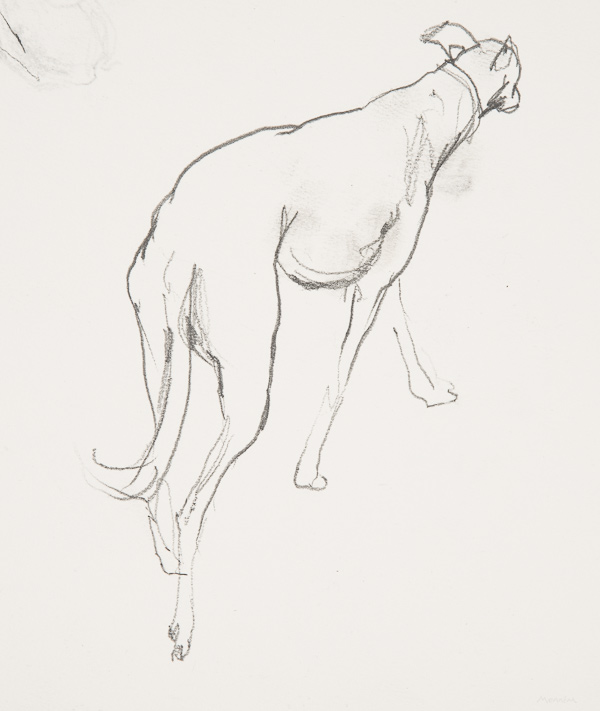 Dog called Pilot. Pencil by mennim